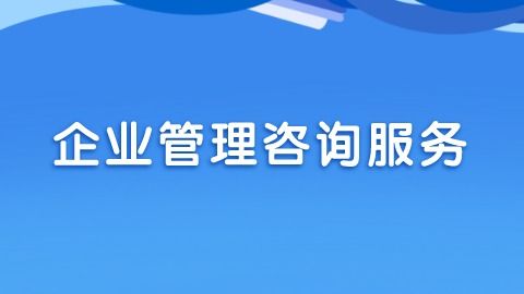 企业管理咨询的主要类型与核心价值